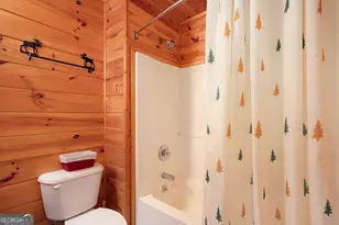 14 Honeysuckle Way, Ellijay, GA 30540 - Photo 50