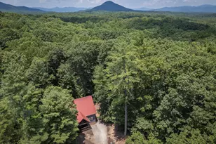 125 Sang Springs Trail, Cleveland, GA 30528 - Photo 66