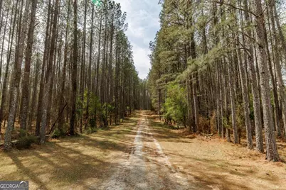 2970 Davids Home Church Road, Comer, GA 30629 - Photo 52