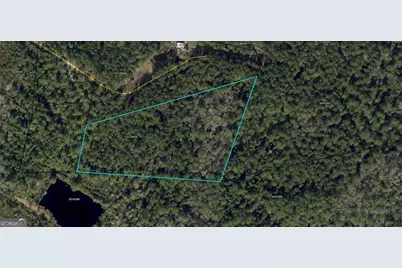 Parcel #1 Brio Lane, Brunswick, GA 31523 - Photo 1