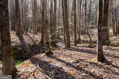 40 Meadow Trail, Social Circle, GA 30025 - Photo 74