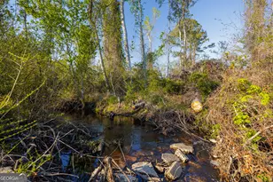 3497 Brown Rd, Valdosta, GA 31601 - Photo 64