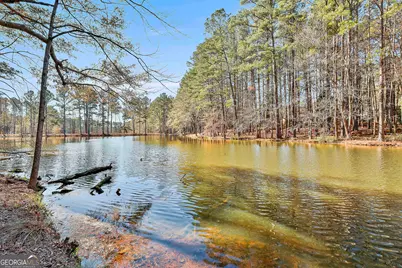 190 Willow Lake Lane, Sharpsburg, GA 30277 - Photo 52