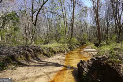 795 Silver Dollar Road, Milner, GA 30257 - Photo 58