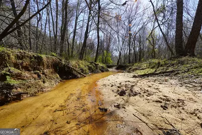 795 Silver Dollar Road, Milner, GA 30257 - Photo 60