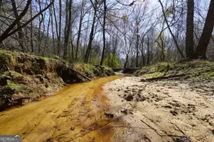 795 Silver Dollar Rd, Milner, GA 30257 - Photo 60