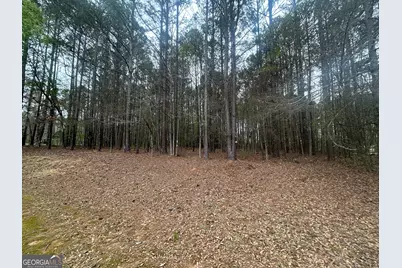 160 Walnut Ridge Way, Covington, GA 30014 - Photo 12