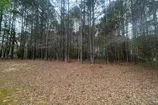 160 Walnut Ridge Way, Covington, GA 30014 - Photo 12