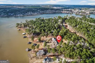 655 Sandy Run Dr, Sparta, GA 31087 - Photo 6