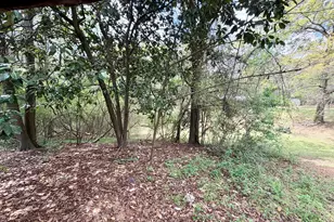 3608 Franklinton Rd, Dry Branch, GA 31020 - Photo 8