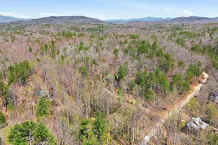 845 Chattahoochee Acres Dr, Cleveland, GA 30528 - Photo 48