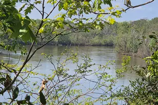 674 McNatt Falls Rd, Uvalda, GA 30473 - Photo 6