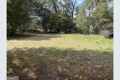709 Plant Street, Montezuma, GA 31063 - Photo 2