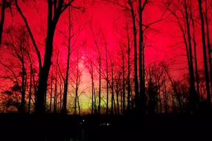 1289 Rainwater Trail, Tiger, GA 30576 - Photo 10