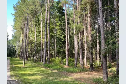 238 Cassie Ree Road, Statesboro, GA 30458 - Photo 16