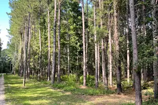 238 Cassie Ree Rd, Statesboro, GA 30458 - Photo 16