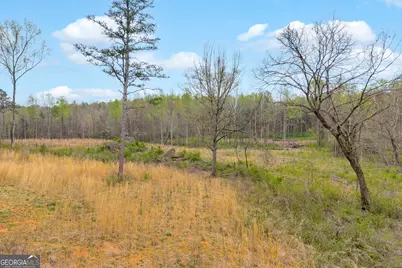 1934 Pleasant Hill Road, Martin, GA 30557 - Photo 32