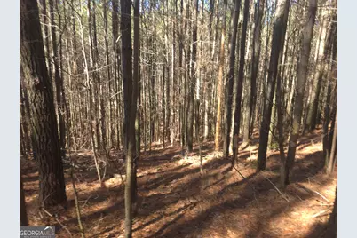 Lot #286 Oak Park Drive, Talking Rock, GA 30175 - Photo 4