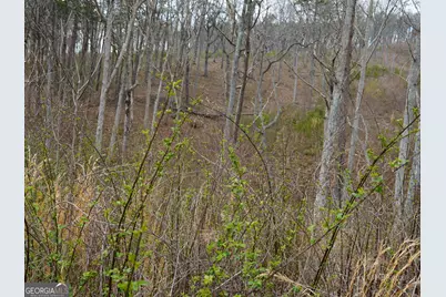 Lot #286 Oak Park Drive, Talking Rock, GA 30175 - Photo 8