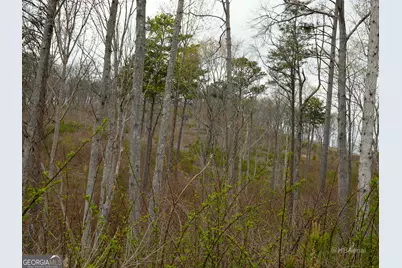 Lot #286 Oak Park Drive, Talking Rock, GA 30175 - Photo 12