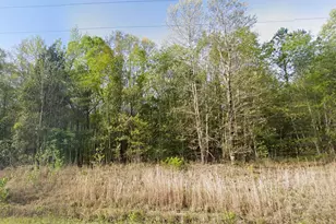 0 Snowhill Church Rd, Gordon, GA 31031 - Photo 1