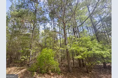 0 Snow Hill Church Road #LOT D-11, Gordon, GA 31031 - Photo 8