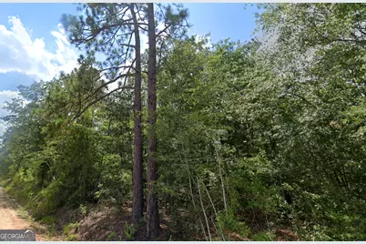 2 Acres St Mark Road, Dublin, GA 31021 - Photo 4