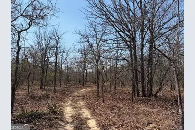 461 Currington Rd, Mauk, GA 31058 - Photo 18