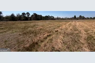 461 Currington Rd, Mauk, GA 31058 - Photo 8