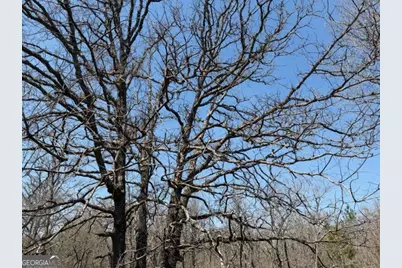 461 Currington Rd, Mauk, GA 31058 - Photo 16