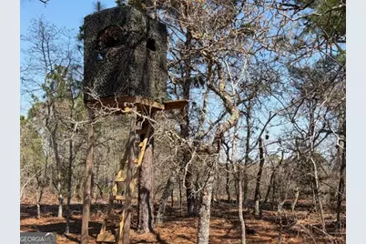 461 Currington Rd, Mauk, GA 31058 - Photo 28