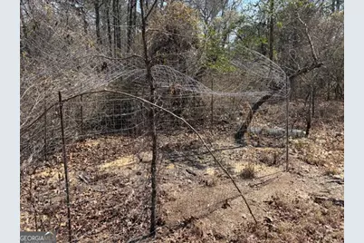 461 Currington Rd, Mauk, GA 31058 - Photo 24