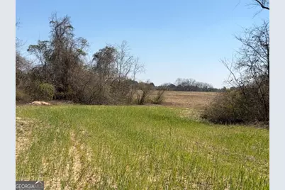 461 Currington Rd, Mauk, GA 31058 - Photo 6