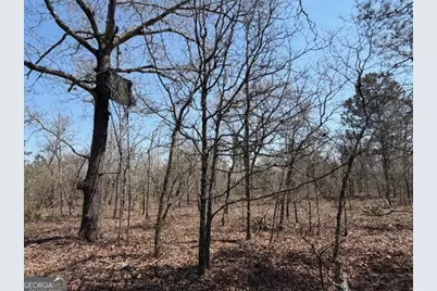 461 Currington Rd, Mauk, GA 31058 - Photo 22