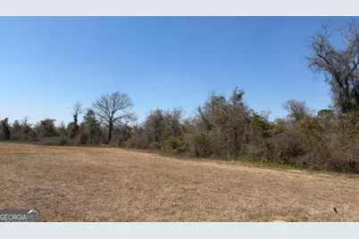 461 Currington Rd, Mauk, GA 31058 - Photo 2