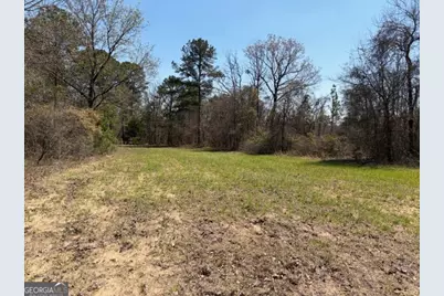 461 Currington Rd, Mauk, GA 31058 - Photo 10