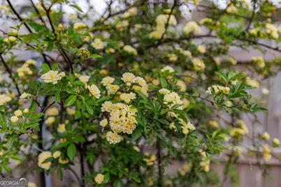 360 Joe Graham Road, Hull, GA 30646 - Photo 42