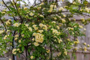 360 Joe Graham Rd, Hull, GA 30646 - Photo 42