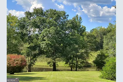 252 Moore Street, Whitesburg, GA 30185 - Photo 4