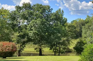 252 Moore St, Whitesburg, GA 30185 - Photo 4