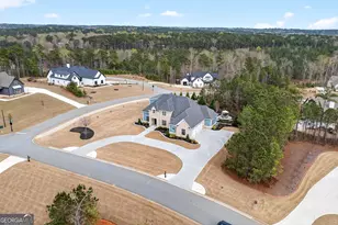 61 Forest Berry Ct, Newnan, GA 30265 - Photo 64