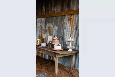 11 Short Cut Road, Lumber City, GA 31549 - Photo 66