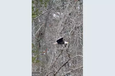 75 Mikes Lane, Sharpsburg, GA 30277 - Photo 118