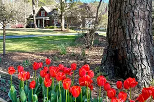 75 Mikes Ln, Sharpsburg, GA 30277 - Photo 8