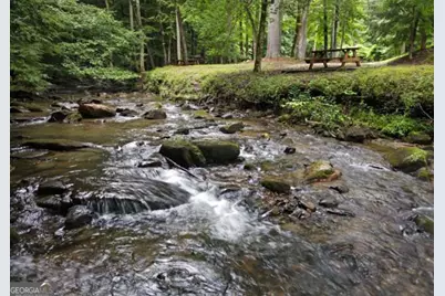 705 Laurel Ridge Drive, Ellijay, GA 30536 - Photo 60