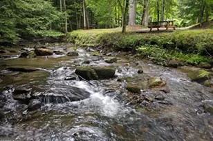 705 Laurel Ridge Dr, Ellijay, GA 30536 - Photo 60