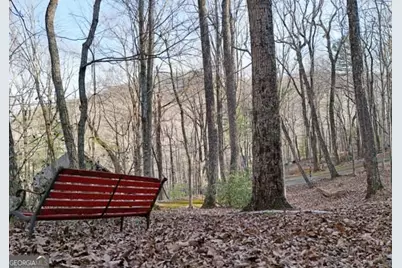 705 Laurel Ridge Drive, Ellijay, GA 30536 - Photo 6