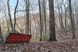 705 Laurel Ridge Dr, Ellijay, GA 30536 - Photo 6