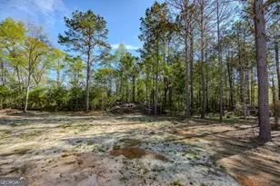 226 Mullis St, Dexter, GA 31019 - Photo 36