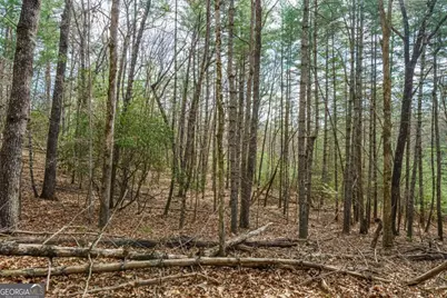 Lot 6 Hampton Road #6, Morganton, GA 30560 - Photo 14